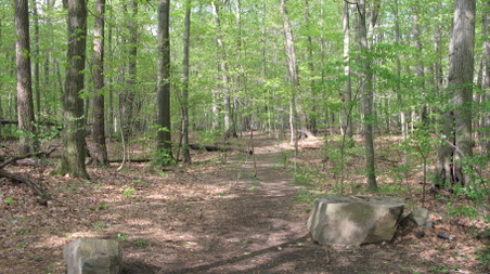 Enlarge photo 18