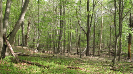 Enlarge photo 19