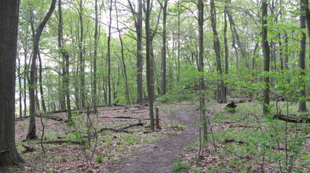 Enlarge photo 20