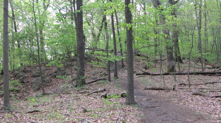 Enlarge photo 22