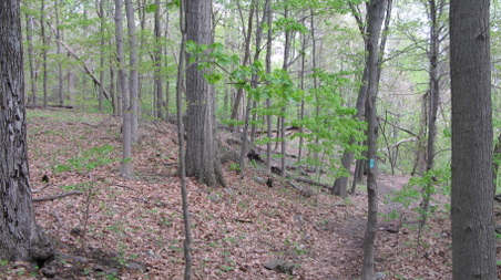 Enlarge photo 23