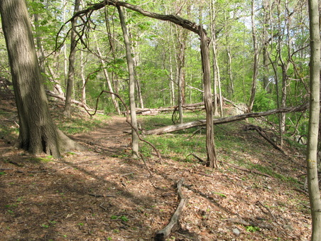 Enlarge photo 24