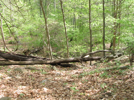 Enlarge photo 25