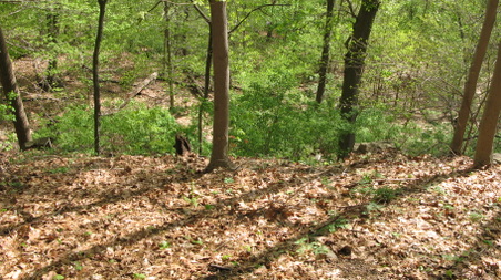 Enlarge photo 26