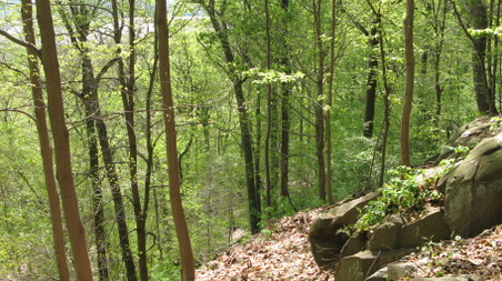 Enlarge photo 27