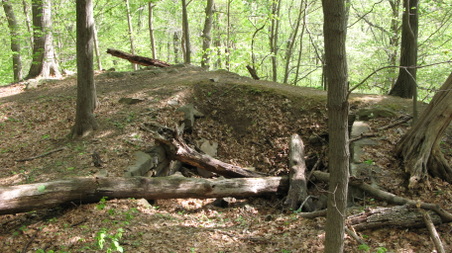 Enlarge photo 29