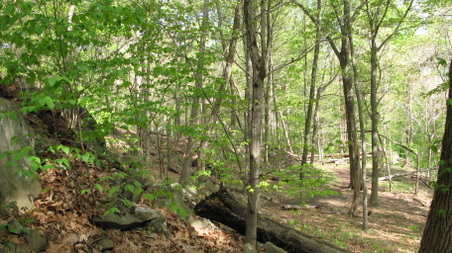 Enlarge photo 30