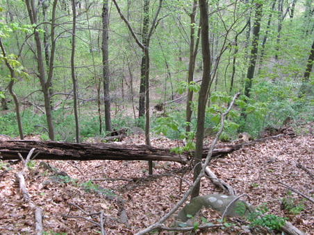 Enlarge photo 31