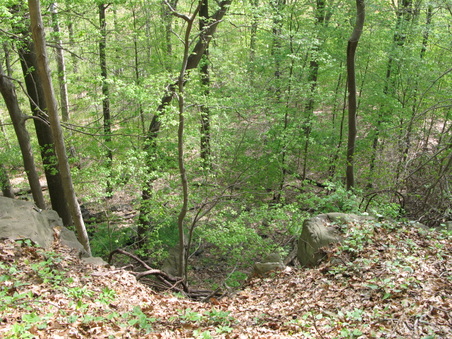 Enlarge photo 33