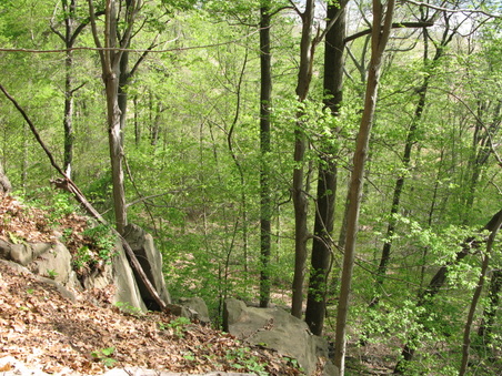 Enlarge photo 34