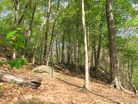 Enlarge photo 35
