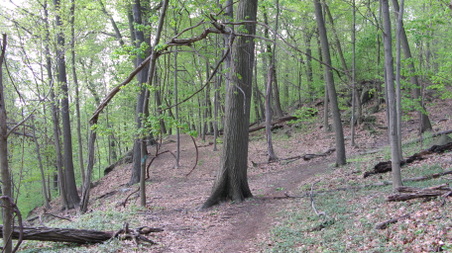 Enlarge photo 37