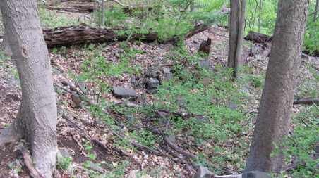 Enlarge photo 38