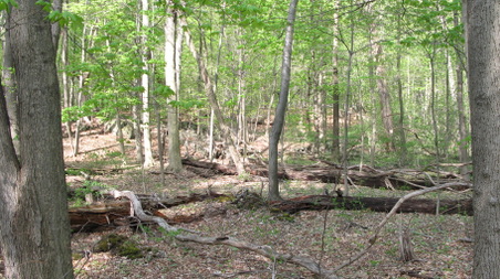 Enlarge photo 39