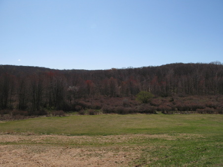 Enlarge photo 4