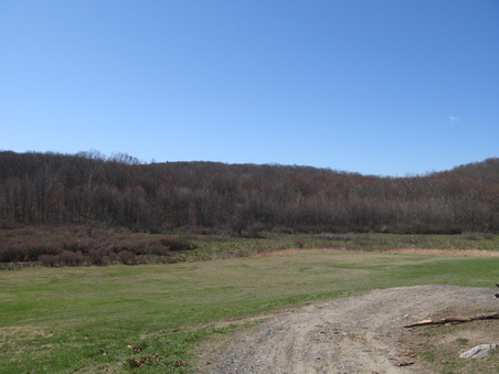 Enlarge photo 5
