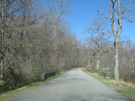 Enlarge photo 10