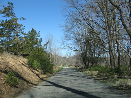 Enlarge photo 12