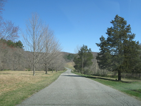 Enlarge photo 15