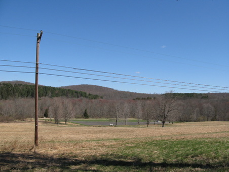 Enlarge photo 16