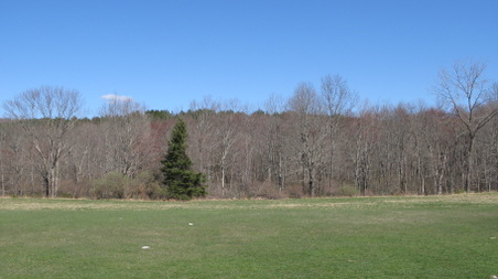 Enlarge photo 19