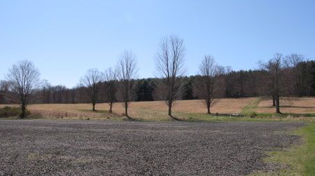 Enlarge photo 25