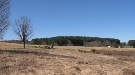 Enlarge photo 26