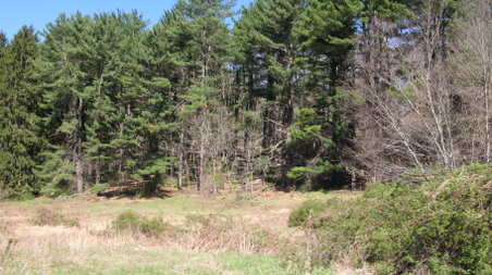 Enlarge photo 27