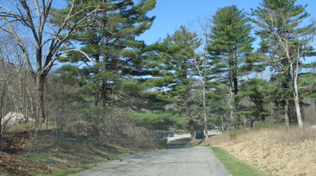Enlarge photo 28
