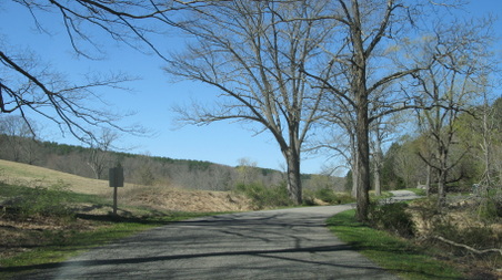 Enlarge photo 30