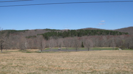 Enlarge photo 31