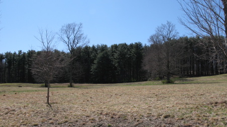 Enlarge photo 33