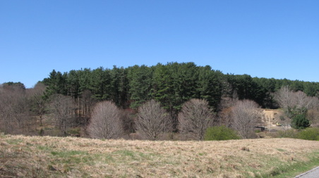 Enlarge photo 34
