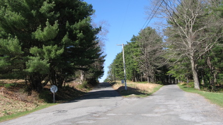 Enlarge photo 35