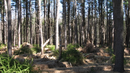 Enlarge photo 37