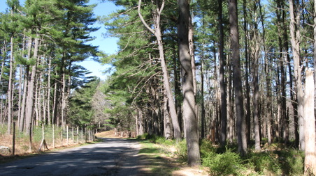 Enlarge photo 38