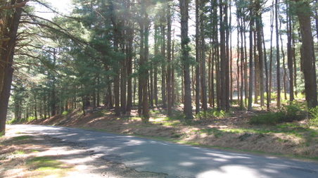 Enlarge photo 40