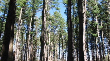 Enlarge photo 42