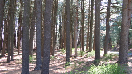 Enlarge photo 43
