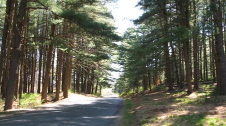 Enlarge photo 45