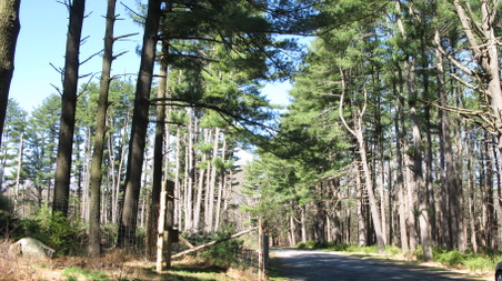 Enlarge photo 46