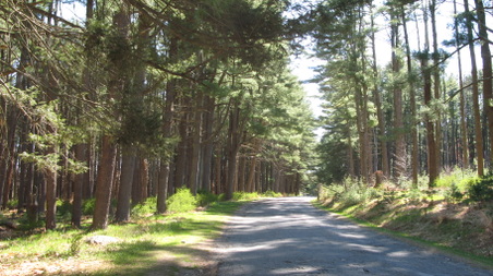 Enlarge photo 48