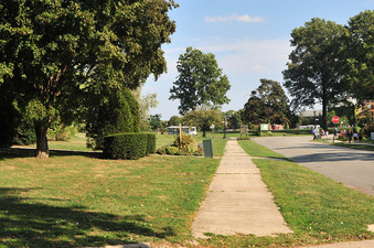 Enlarge photo 34