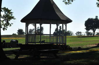 Enlarge photo 85
