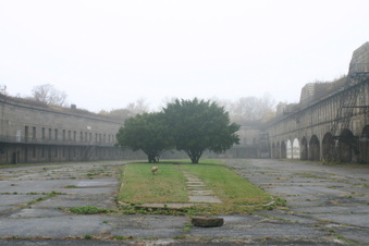 Enlarge photo 43