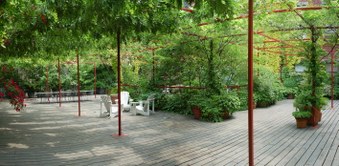 Enlarge photo 21
