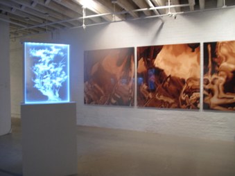Enlarge photo 12