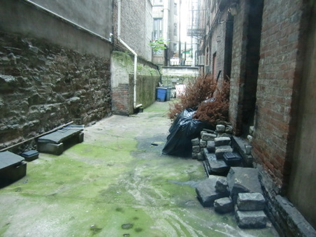 Enlarge photo 21