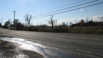 Enlarge photo 8