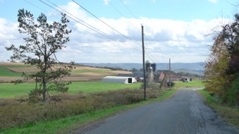 Enlarge photo 4